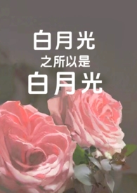 白月光不是月光快穿小说